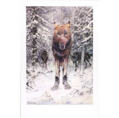 Hausman, Affiche Offset, Le loup