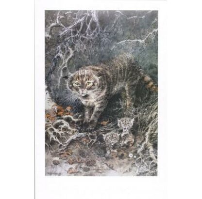 Hausman, Affiche Offset, Chat sauvage