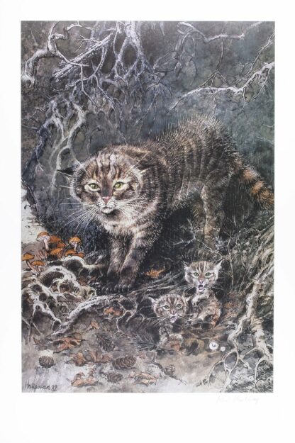 Hausman, Affiche Offset Signée, Chat sauvage