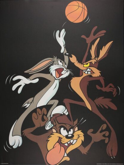 Looney basket 60X80 cm