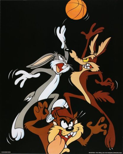 Looney basket 40X50 cm