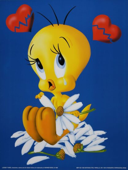 Titi coeur brisé 30X40 cm