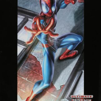 Spider-Man Ultimate Affiche vintage (2002) sur la facade
