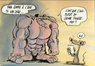Les Rat's, Ptiluc, Carte postale, Fais gaffe à c'que tu vas dire...   C'est que je suis plûtôt du genre fragile, moi !!!