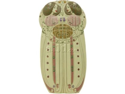 Mackintosh, Statuette en resine, The Wassail (1900)