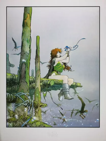 affiche Pélisse Fourreux Loisel