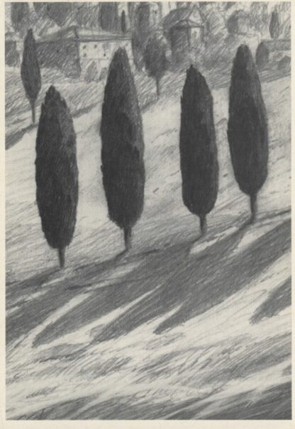 Renard, Vasseur, Galilée, Carte postale, Arbres