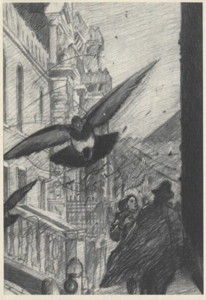Renard, Vasseur, Galilée, Carte postale, Pigeon