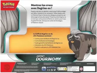 Pokémon-Coffret-Dogrino-Ex-dos