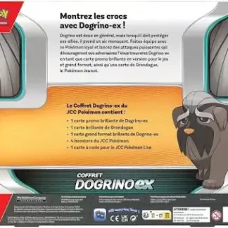 Pokémon-Coffret-Dogrino-Ex-dos