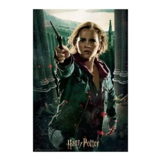 Puzzle 3D Harry Potter Hermione Granger Prime 3D