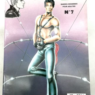 Gay Comix n°7 BD adulte