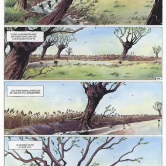 ambre-blanc-eo-t3-printemps-verhaeghe-planche
