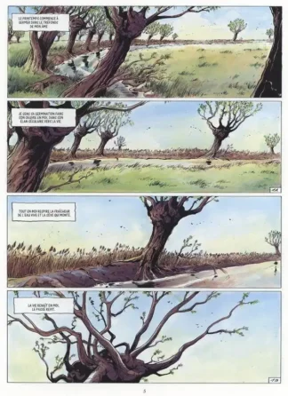 ambre-blanc-eo-t3-printemps-verhaeghe-planche