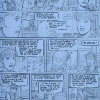 caroline-baldwin-free-tibet-collector-999-planche